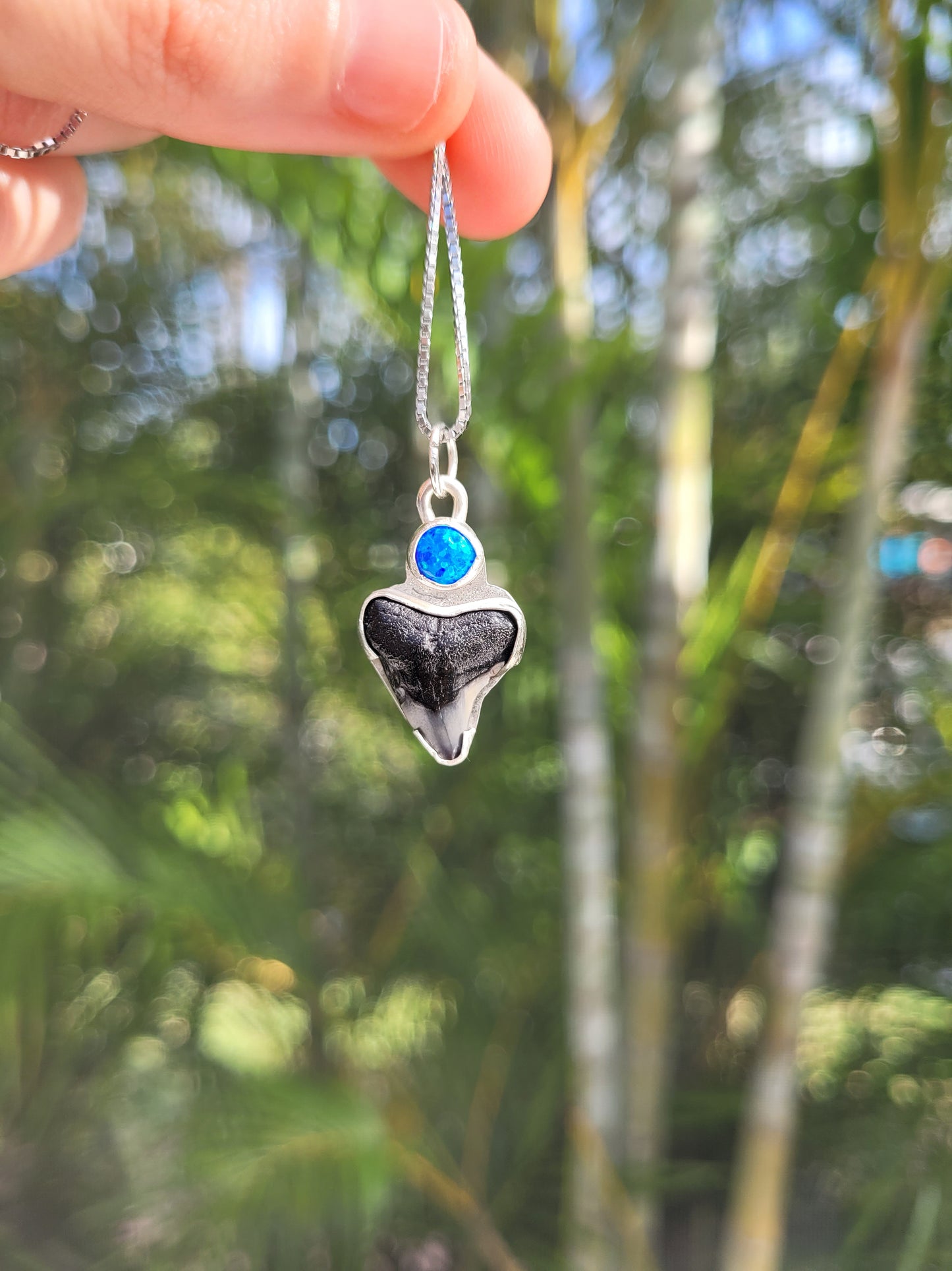 Shark's Tooth with Opal Pendant (B)