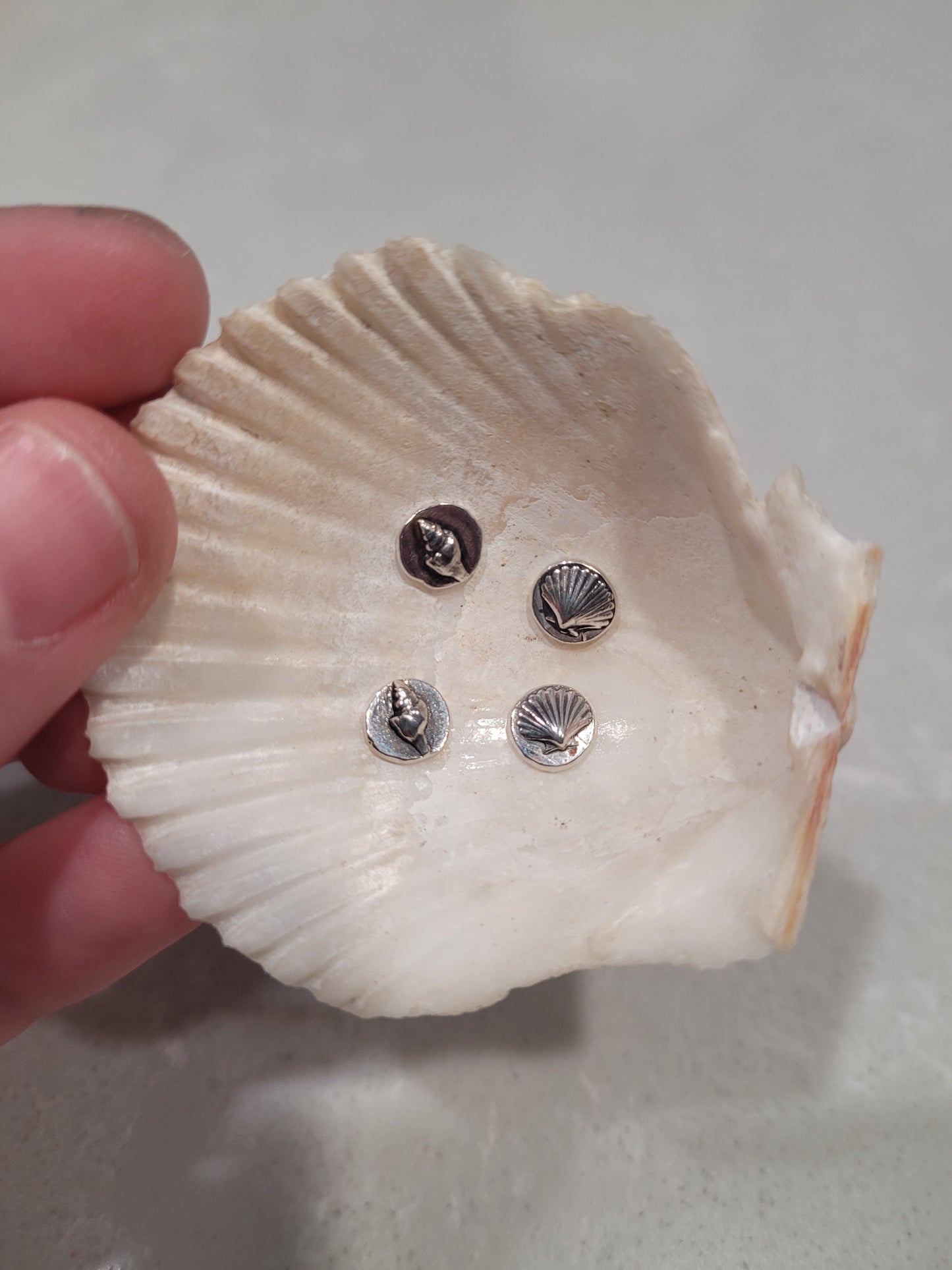 Seashell Studs Set