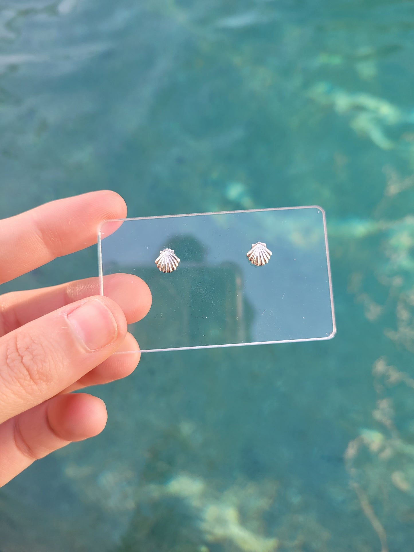 Seashell Studs