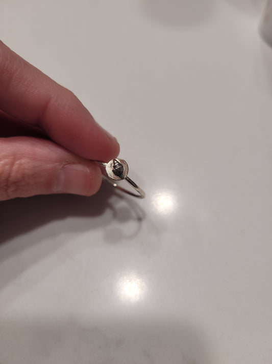 Conch Shell Ring