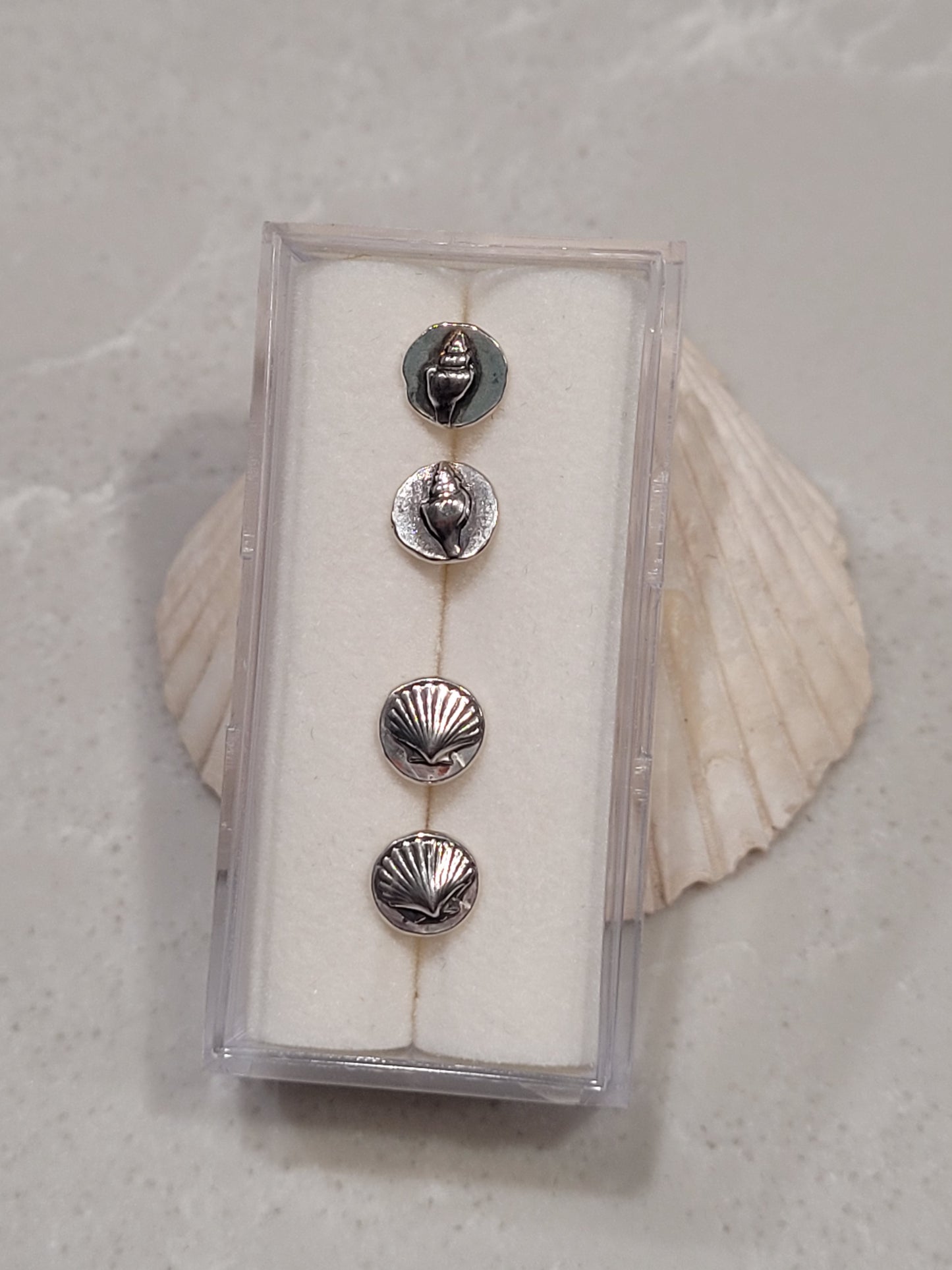 Seashell Studs Set