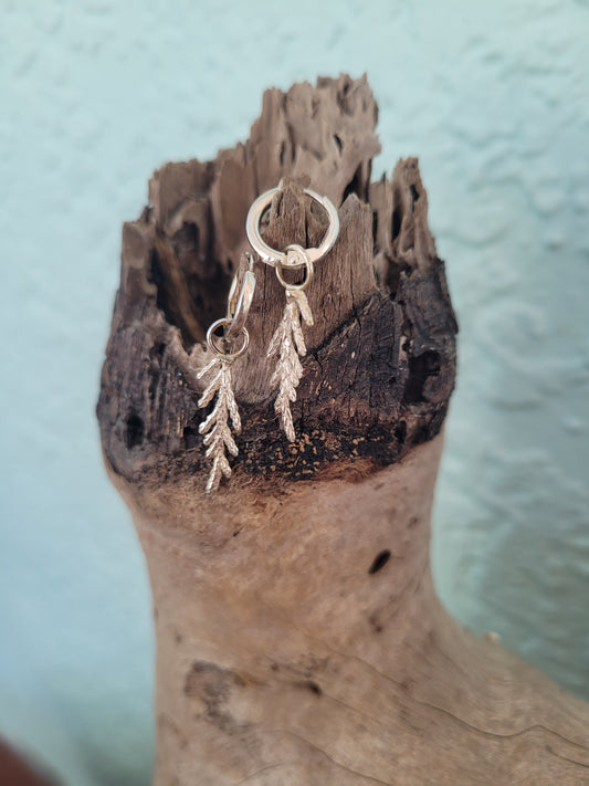Cedar Leaf Hugges