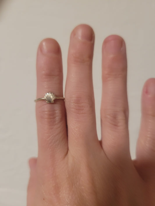 Shell Ring