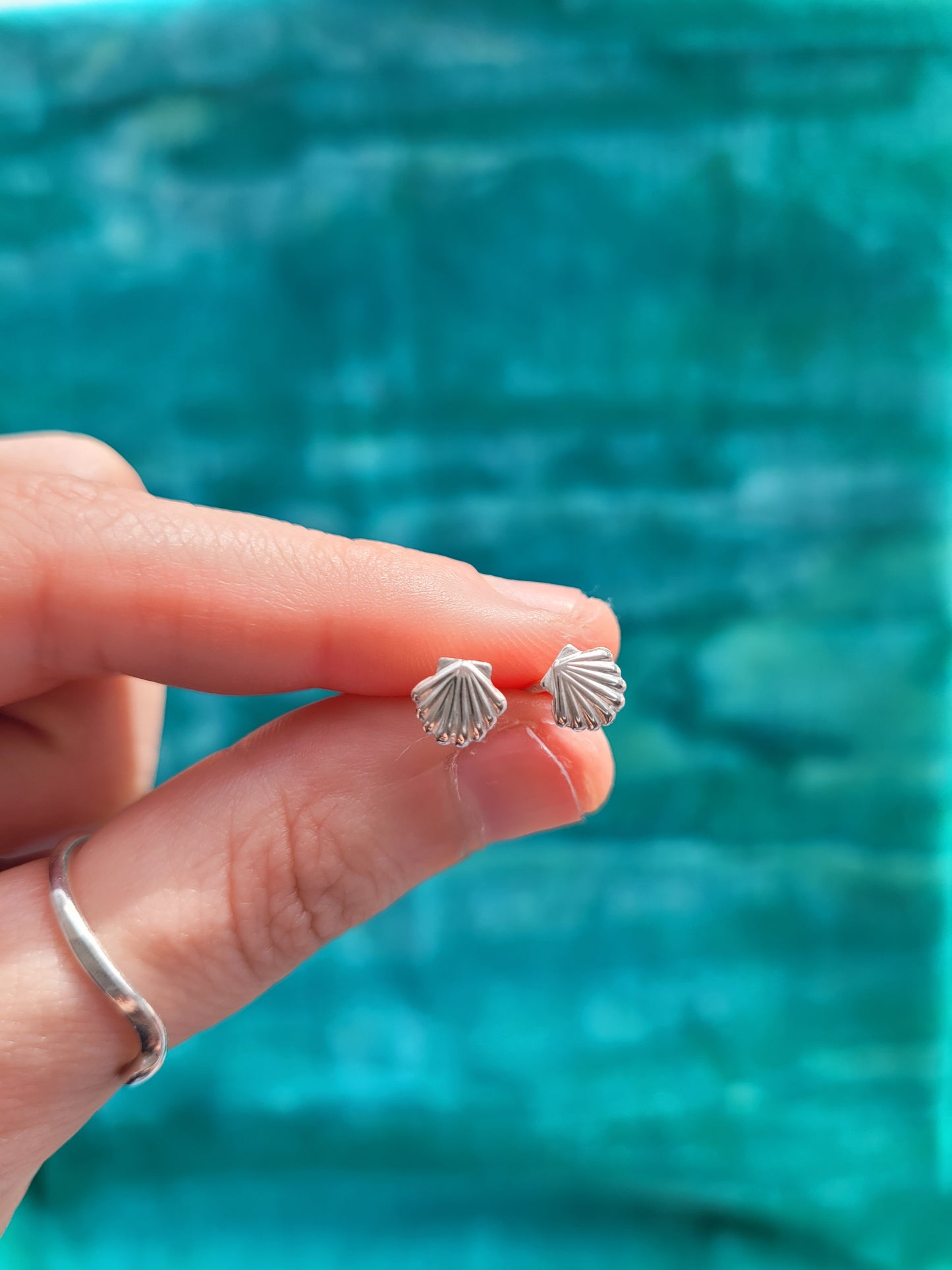 Seashell Studs